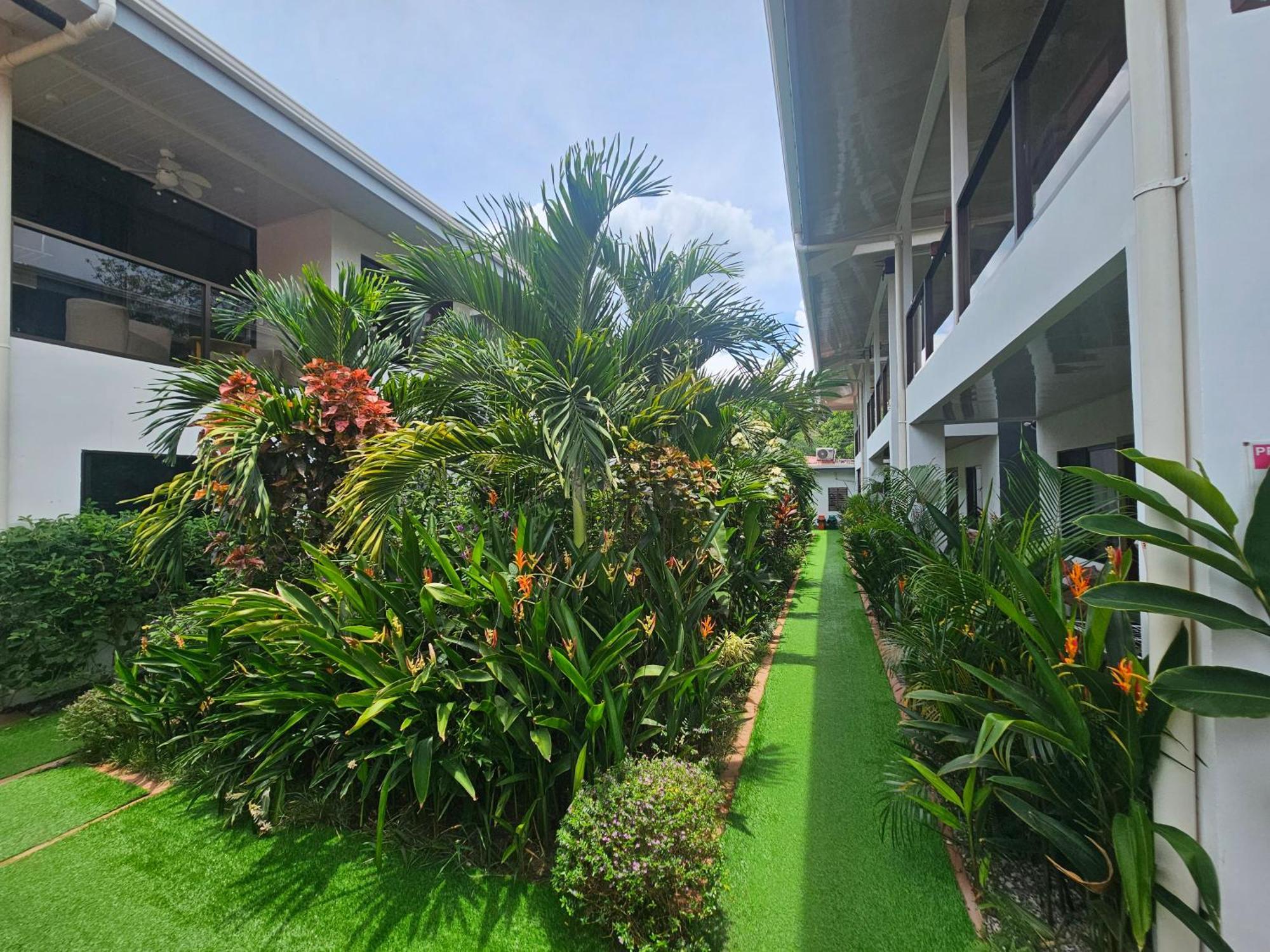 Ballena Rey Hotel Uvita Exterior foto